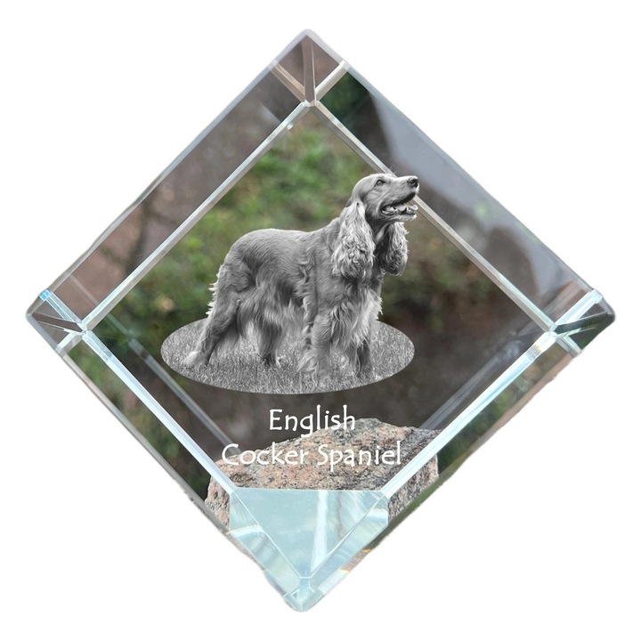Cubica din cristal, Art-Dog, personalizabila, 8x8x8cm, pentru birou