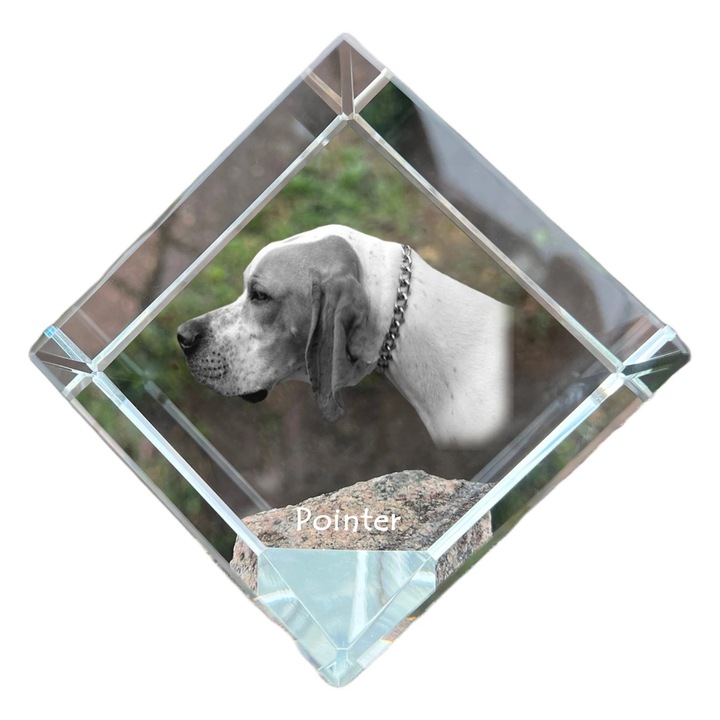 Kristály kocka, Art-Dog, képpel személyre szabott, 8x8x8cm, átlátszó