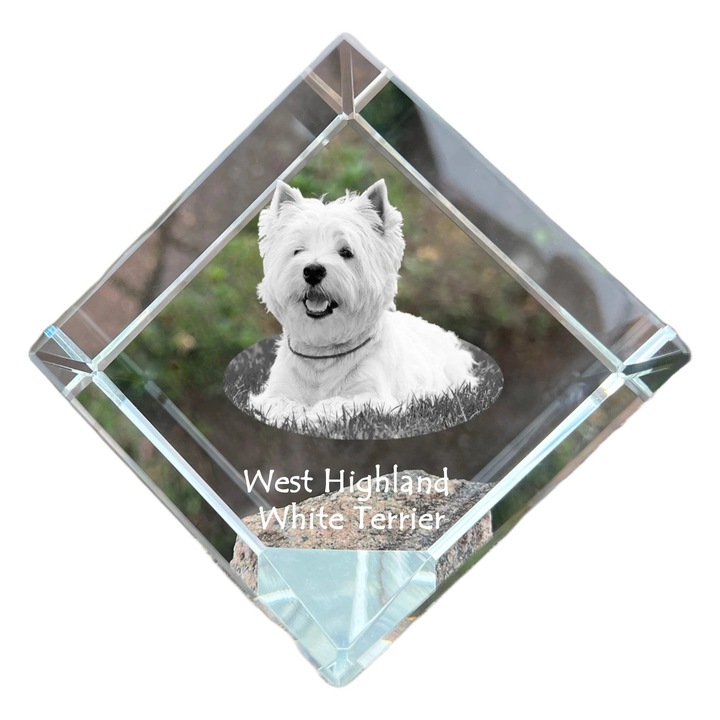 Cub din cristal cu imagine personalizata, Art-Dog, 8x8x8cm, pentru birou, pentru iubitorii de animale