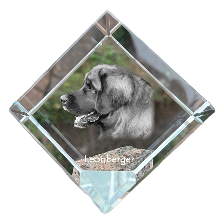 Cubica din cristal, Art-Dog, personalizabila, 8x8x8cm, pentru birou