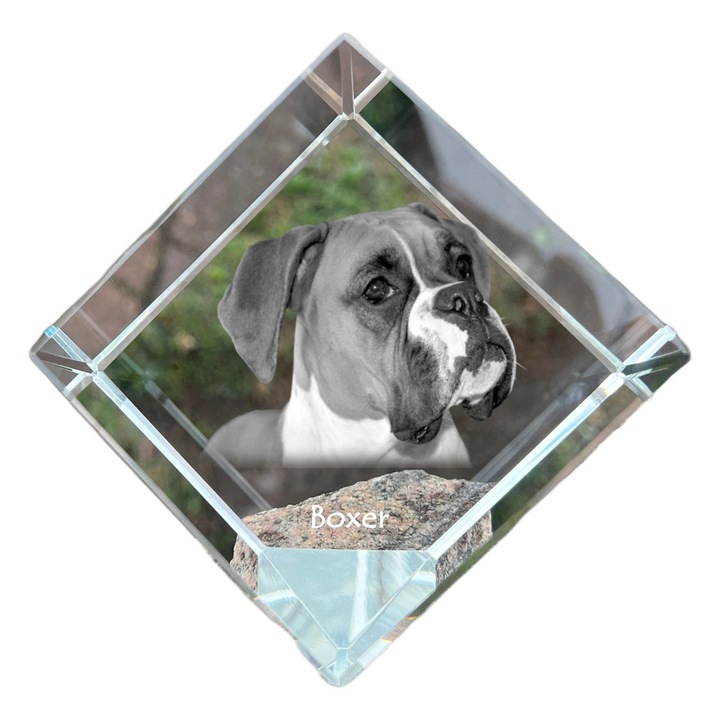 Cubica din cristal, Art-Dog, personalizabila, 8x8x8cm, pentru birou