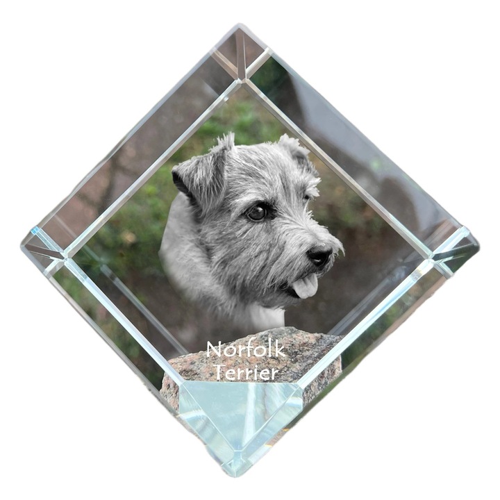 Cubica din cristal, Art-Dog, personalizabila, 8x8x8cm, pentru birou