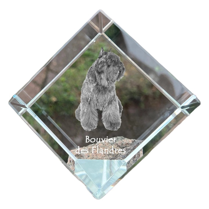 Cubica din cristal, Art-Dog, personalizabila, 8x8x8cm, pentru birou