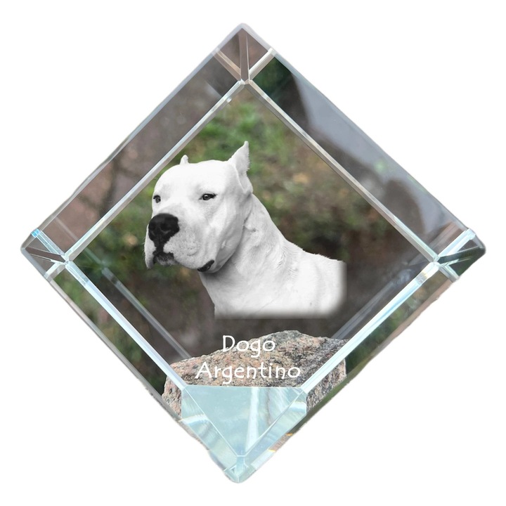 Cub din cristal, Art-Dog, personalizabil, 8x8x8cm, cu gravura de animal