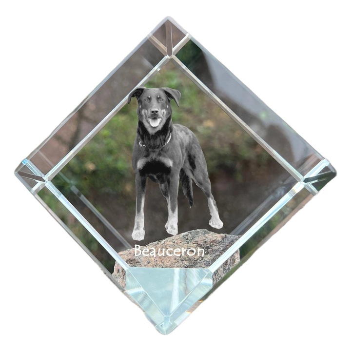 Cubica din cristal, Art-Dog, personalizabila, 8x8x8cm, transparenta