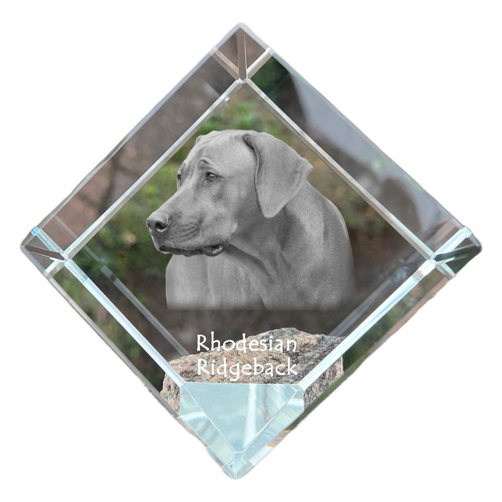 Cub din cristal, Art-Dog, personalizabil, 8x8x8cm, pentru birou