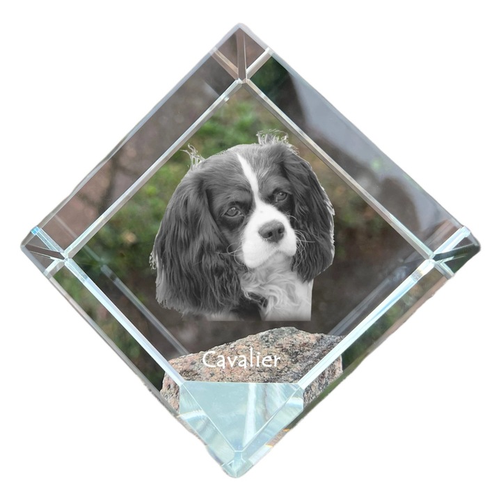 Kostka din cristal cu imagine personalizata, Art-Dog, 8x8x8cm, pentru birou, cadou elegant