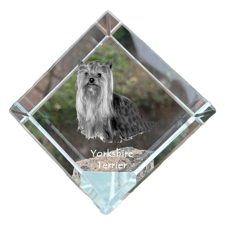 Kostka din cristal cu imagine personalizata, Art-Dog, 8x8x8cm, pentru birou, cadou pentru iubitorii de animale