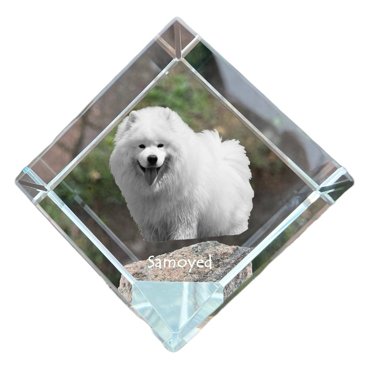 Cubica din cristal cu fotografie personalizata, Art-Dog, 8x8x8cm, set elegant de birou
