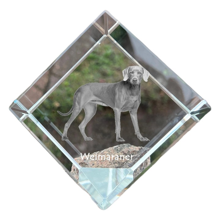 Cubica din cristal cu gravura personalizata, Art-Dog, 8x8x8cm, pentru birou, cadou pentru iubitorii de animale