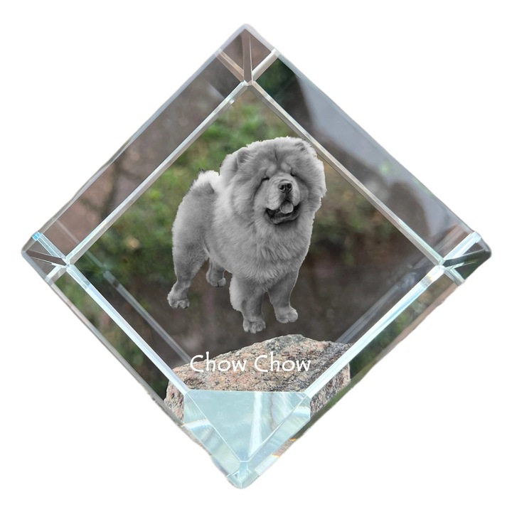 Cub din cristal cu fotografie personalizata, Art-Dog, 8x8x8cm, pentru birou