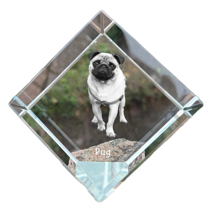 Cub din cristal, Art-Dog, personalizabil, 8x8x8cm, cu gravura de animal