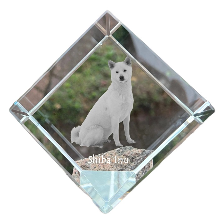 Cubica din cristal cu gravura personalizata, Art-Dog, 8x8x8cm, ideala pentru birou, cadou pentru iubitorii de animale