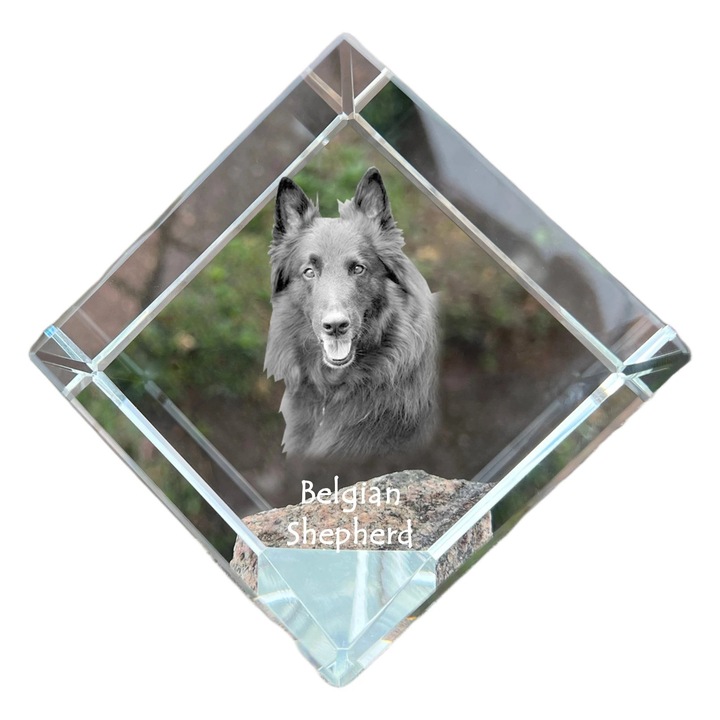 Cub din cristal, Art-Dog, personalizabil, 8x8x8cm, cu gravura de animal