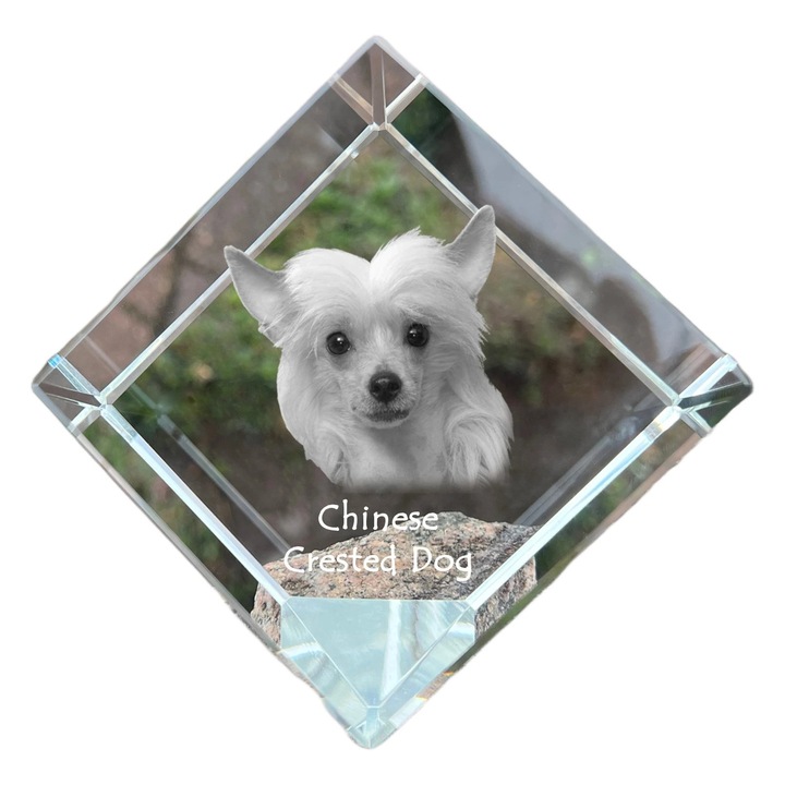 Cubica din cristal cu fotografie personalizata, Art-Dog, 8x8x8cm, ideala pentru birou, cadou pentru iubitorii de animale