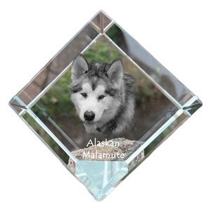 Dekorációs kiegészítők