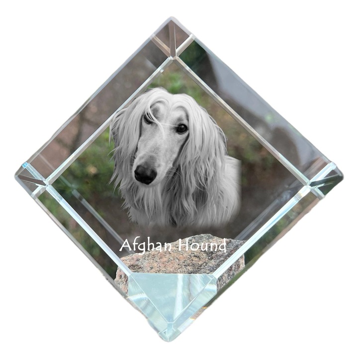 Cubica din cristal, Art-Dog, personalizabila, 8x8x8cm, pentru birou