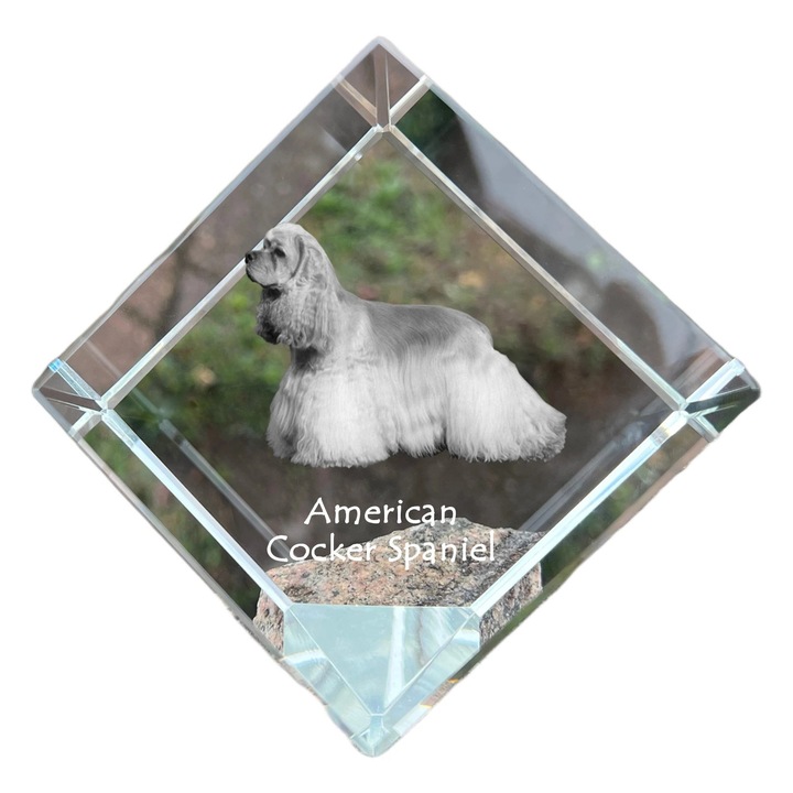 Cubica din cristal, Art-Dog, personalizabila, 8x8x8cm, multicolor