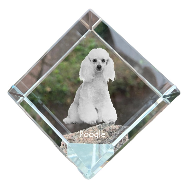Cubica din cristal cu fotografie personalizata, Art-Dog, 8x8x8cm, ideala pentru birou, cadou pentru iubitorii de animale