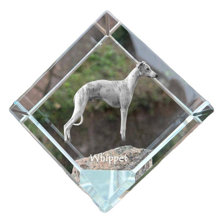 Cub din cristal, Art-Dog, personalizabil, 8x8x8cm, pentru birou