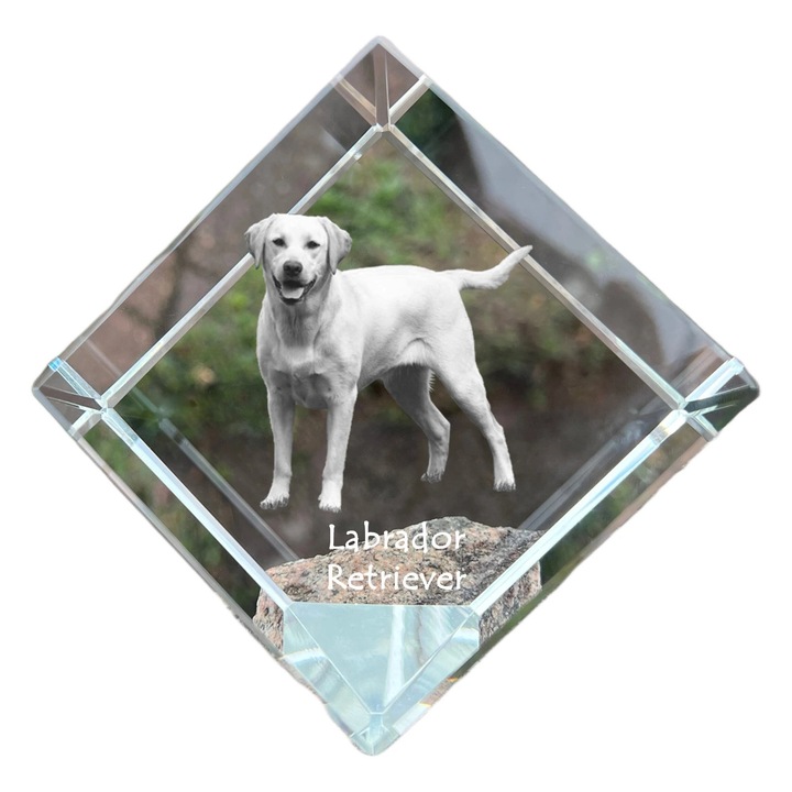 Cubica din cristal, Art-Dog, personalizabila, 8x8x8cm, cu gravura de animal