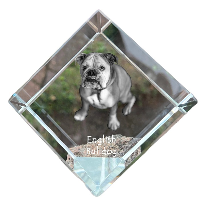 Cub din cristal, Art-Dog, personalizabil, 8x8x8cm, cu gravura de animal