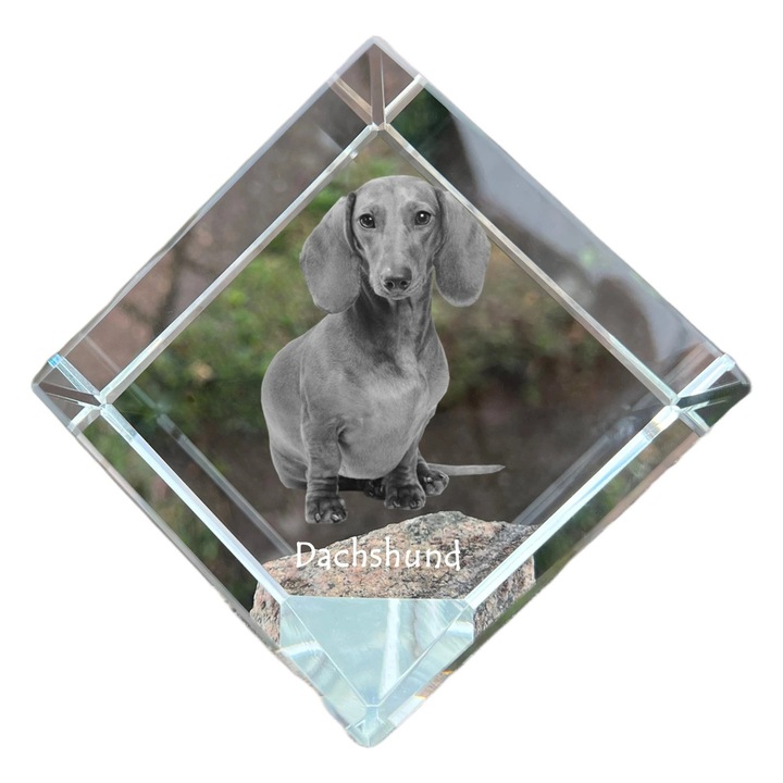 Cub din cristal cu fotografie personalizata, Art-Dog, 8x8x8cm, ideala pentru birou