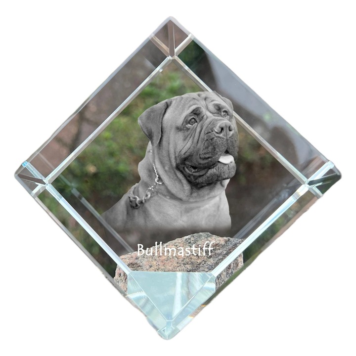 Cub din cristal cu imagine personalizata, Art-Dog, 8x8x8cm, pentru birou