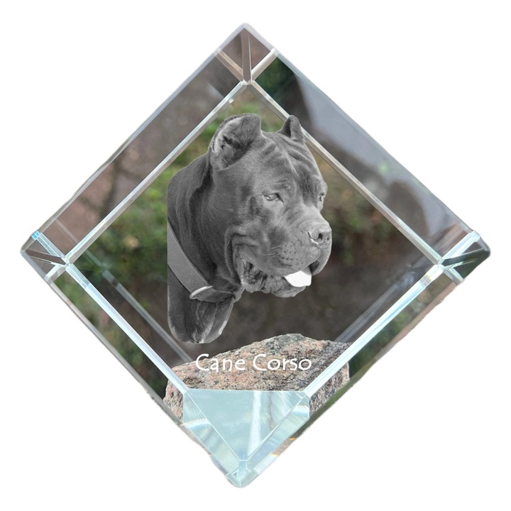 Kristály kocka, Art-Dog, személyre szabható, 8x8x8cm, állat gravírozással