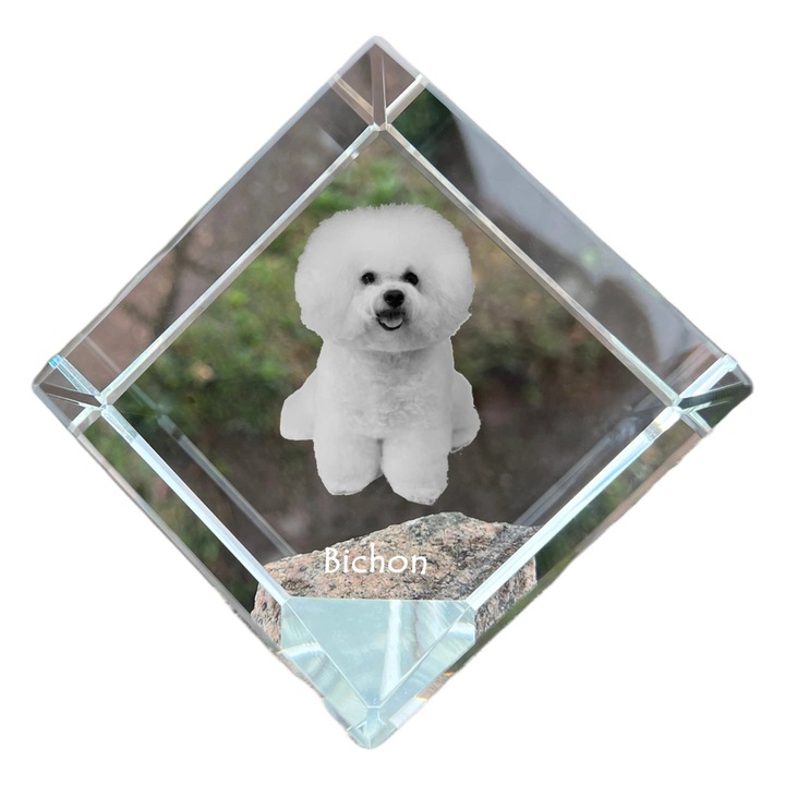 Cubi din cristal cu gravura personalizat, Art-Dog, 8x8x8cm, ideala pentru birou, pentru iubitorii de animale