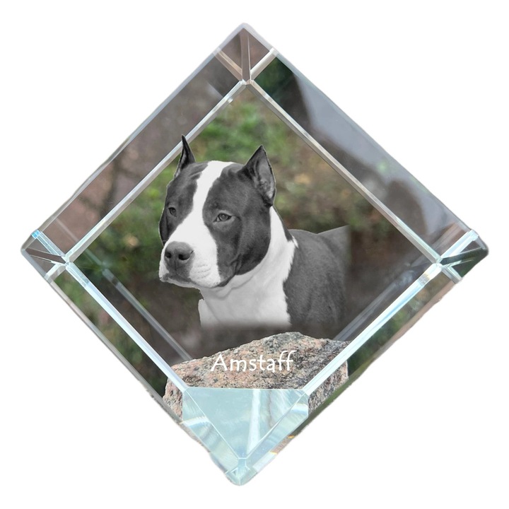 Cubica din cristal cu gravura personalizata, Art-Dog, 8x8x8cm, ideala pentru birou, cadou pentru iubitorii de animale
