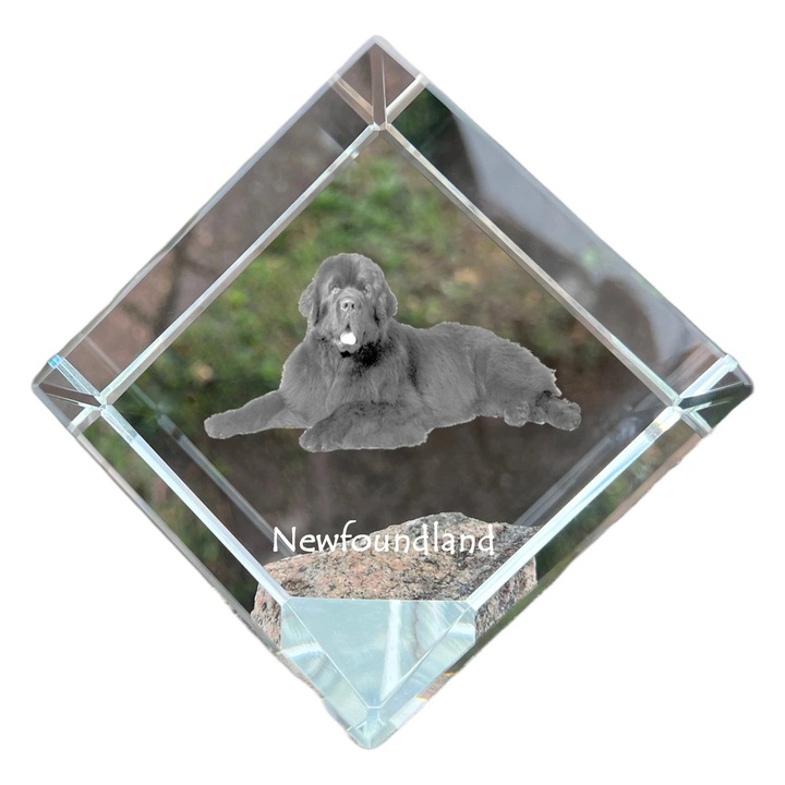 Kristály kocka személyre szabott fényképpel, Art-Dog, 8x8x8cm, átlátszó