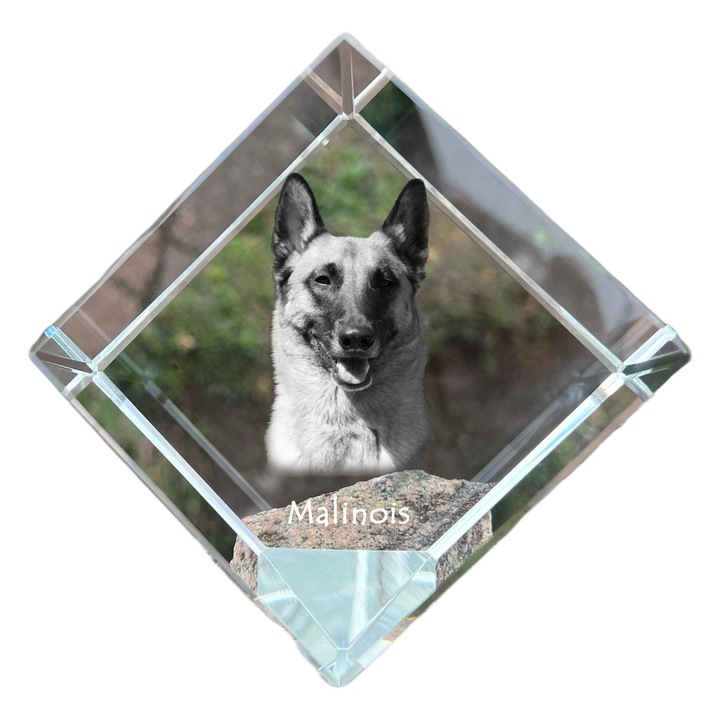 Cubica din cristal, Art-Dog, personalizabila, 8x8x8cm, pentru birou