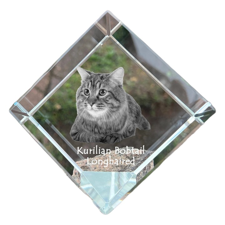 Cubica din cristal, Art-Dog, personalizabila, 8x8x8cm, pentru birou