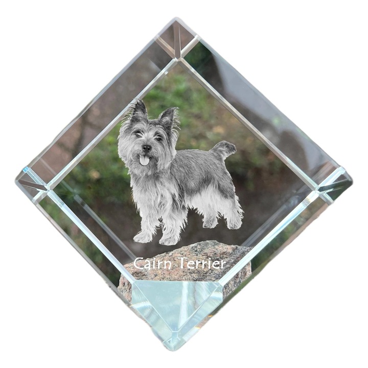 Kristály kocka, Art-Dog, személyre szabható, 8x8x8cm, állat gravírozással