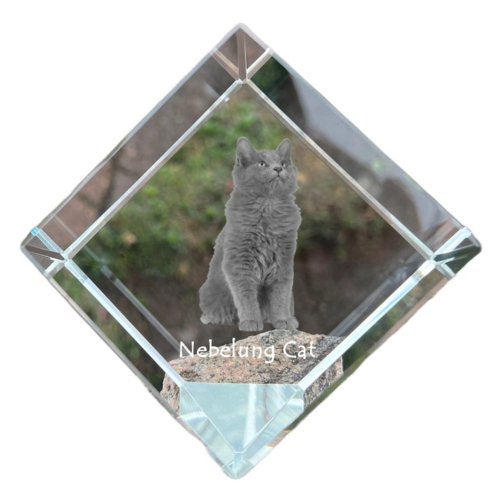 Cubica din cristal cu gravura personalizata, Art-Dog, 8x8x8cm, ideala pentru birou, cadou pentru iubitorii de animale