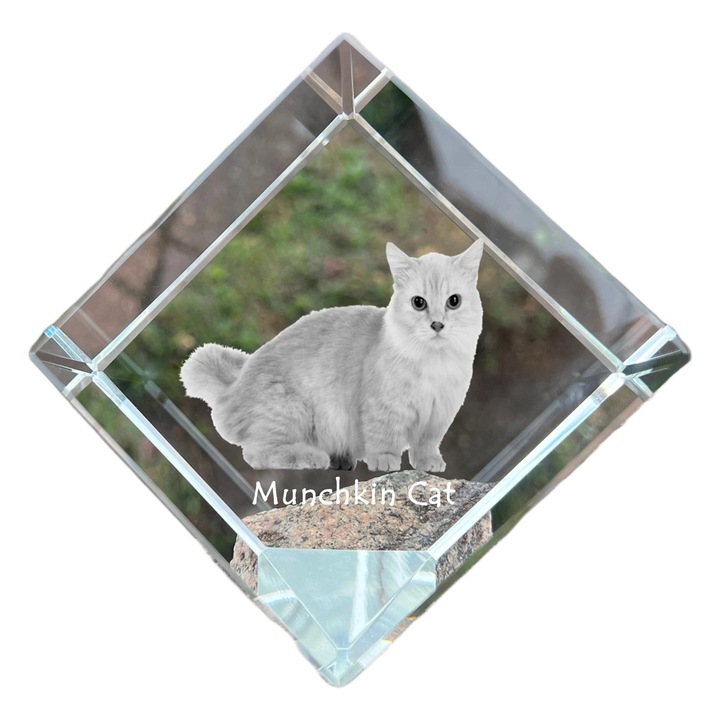 Cub din cristal cu gravura personalizata, Art-Dog, 8x8x8cm, ideala pentru birou