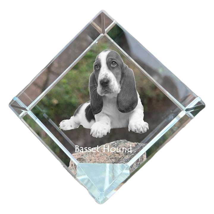 Cub din cristal, Art-Dog, personalizabil, 8x8x8cm, pentru birou