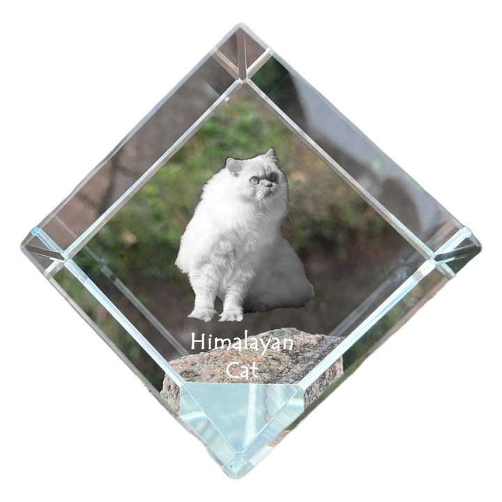 Cub din cristal, Art-Dog, personalizat cu imaginea unui animal, 8x8x8cm, transparenta