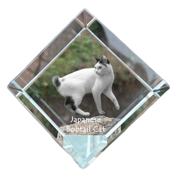 Cubica din cristal cu gravura personalizata, Art-Dog, 8x8x8cm, ideala pentru birou, cadou pentru iubitorii de animale