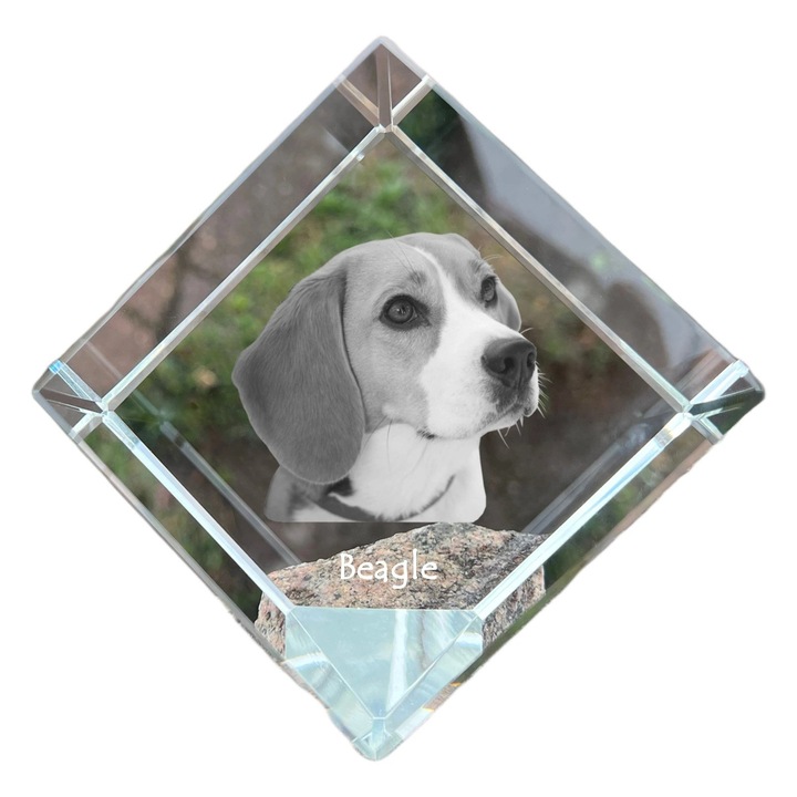 Kristály kocka, Art-Dog, személyre szabható, 8x8x8cm, állat gravírozással