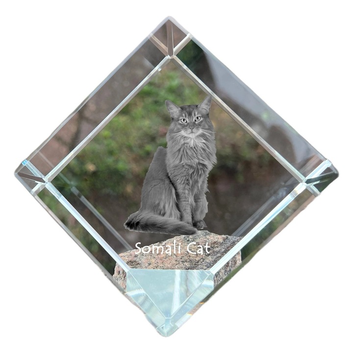 Cubica din cristal, Art-Dog, personalizabila, 8x8x8cm, pentru birou