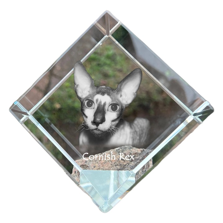 Cubica din cristal, Art-Dog, personalizabila, 8x8x8cm, transparenta