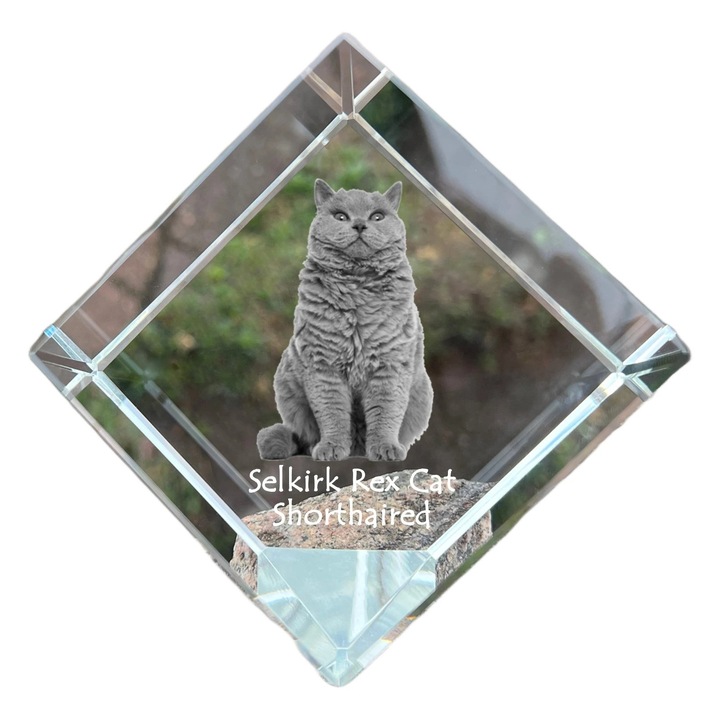 Cub din cristal cu gravura personalizat, Art-Dog, 8x8x8cm, ideala pentru birou, pentru iubitorii de animale