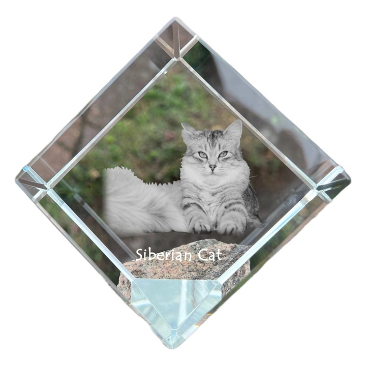 Cub din cristal, Art-Dog, personalizabil, 8x8x8cm, transparent