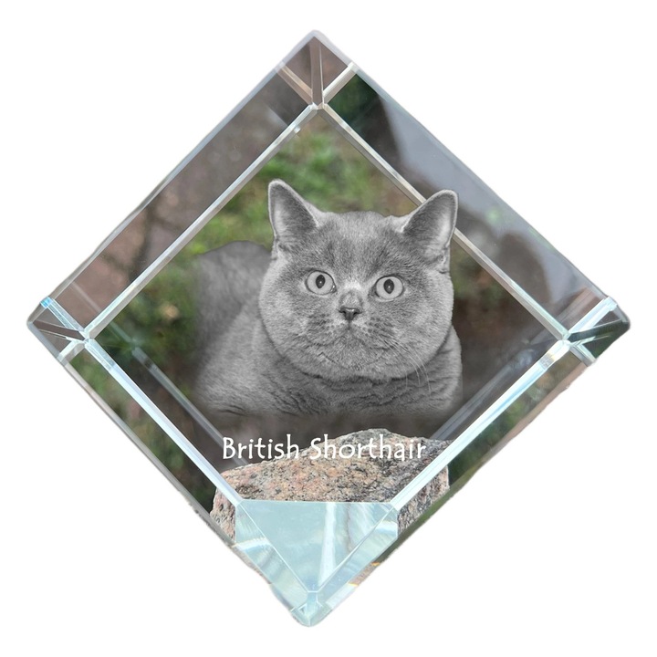 Cubica din cristal cu gravura personalizata, Art-Dog, 8x8x8cm, ideala pentru birou, cadou pentru iubitorii de animale