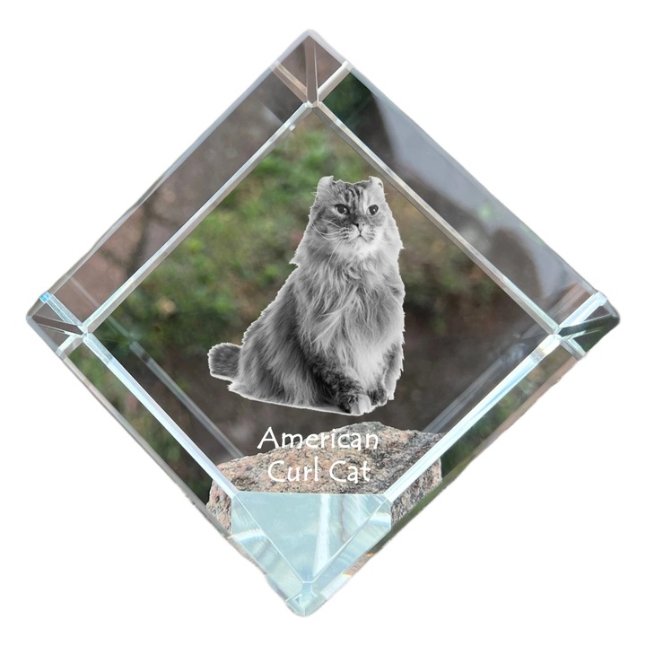 Cubica din cristal, Art-Dog, personalizabila, 8x8x8cm, transparenta