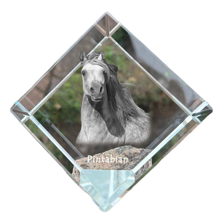 Cub din cristal, Art-Dog, personalizabil, 8x8x8cm, pentru birou