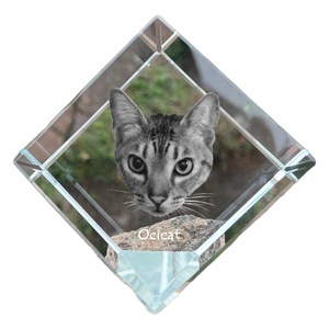 Accesorii decorative