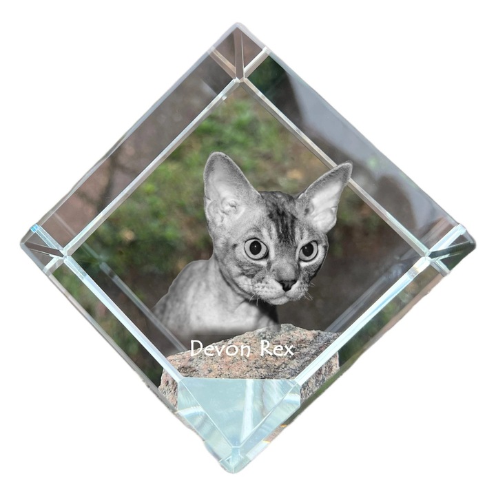 Cubica din cristal cu gravura personalizata, Art-Dog, 8x8x8cm, pentru birou, cadou elegant